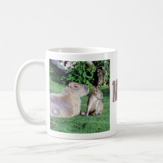 Capybara Mam en Son Mok (Links)