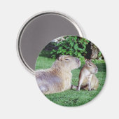 Capybara mam en zoon magneet (Voorkant / Achterkant)