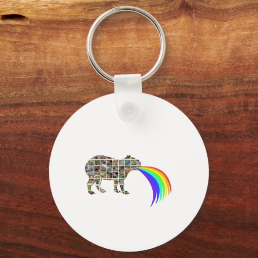 Capybara met een regenboog sleutelhanger (Voorkant)