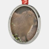 Capybara Metalen Ornament (Links)