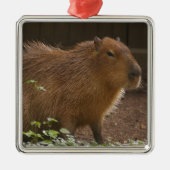 Capybara Metalen Ornament (Voorkant)