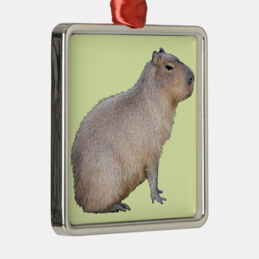 Capybara Metalen Ornament (Rechts)