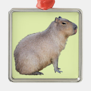 Capybara Metalen Ornament