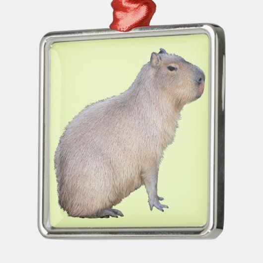 Capybara Metalen Ornament (Links)