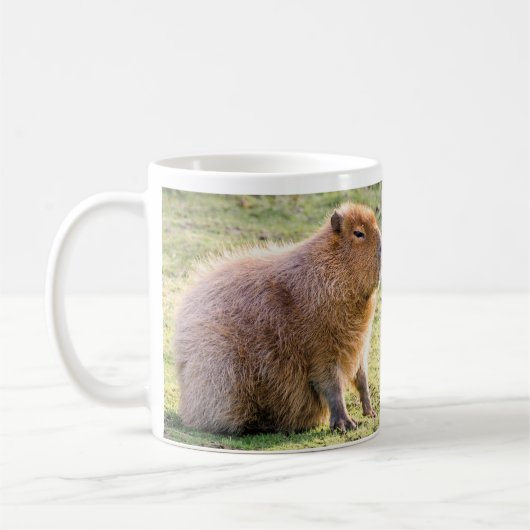 Capybara mok (Links)