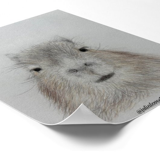 Capybara | Mooie Potlood Tekening Kunstprint Poster (Hoek)