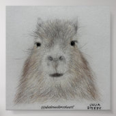Capybara | Mooie Potlood Tekening Kunstprint Poster (Voorkant)