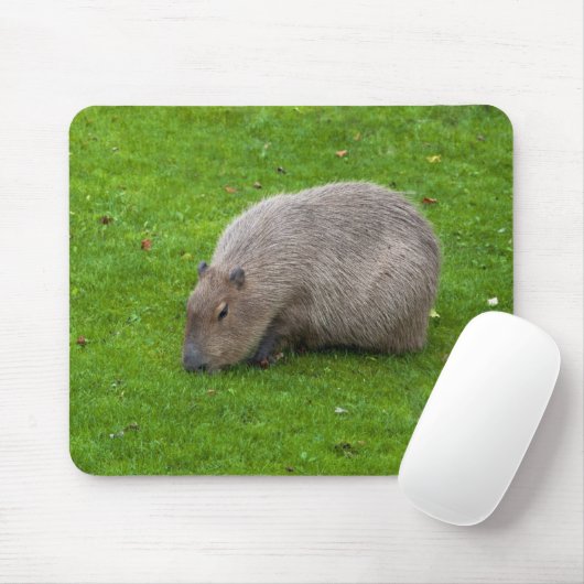 Capybara Mousepad Muismat (Met muis)