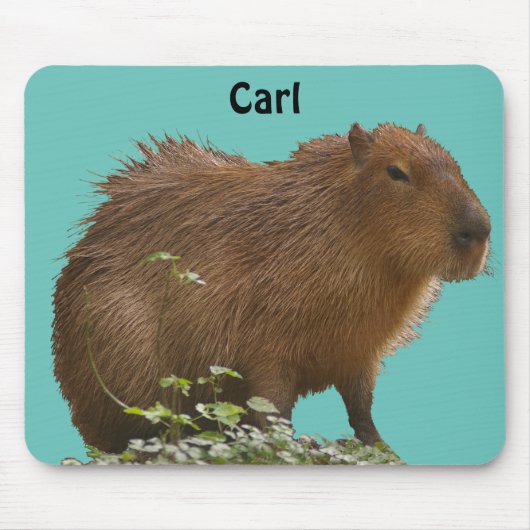 Capybara Muismat (Voorkant)