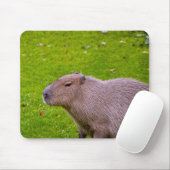 Capybara Muismat (Met muis)