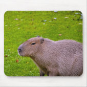 Capybara Muismat (Voorkant)