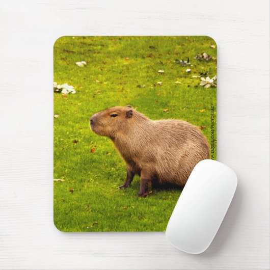Capybara Muismat (Met muis)