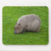 Capybara Muismat (Voorkant)