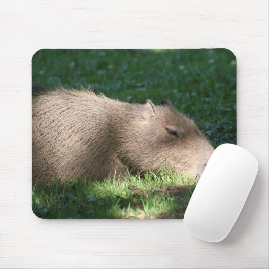 Capybara Muismat (Met muis)