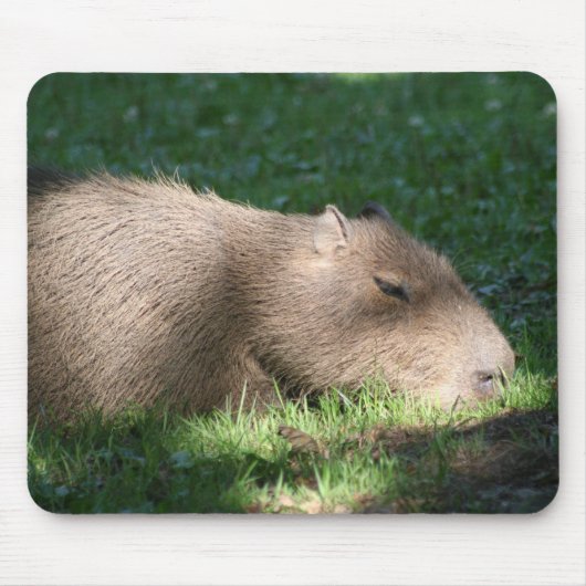 Capybara Muismat (Voorkant)