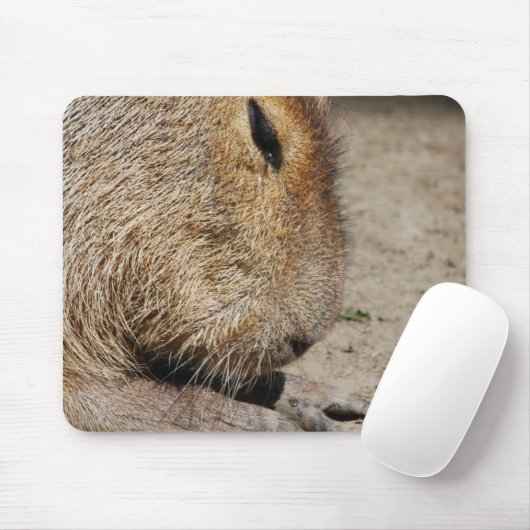 Capybara Muismat (Met muis)