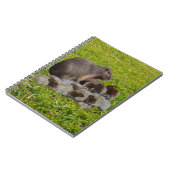 Capybara Mummy met baby's, Notitieboek (Linkerzijde)