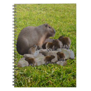 Capybara Mummy met baby's, Notitieboek