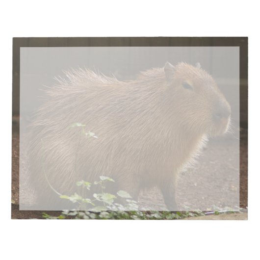 Capybara Notitieblok (Voorkant)