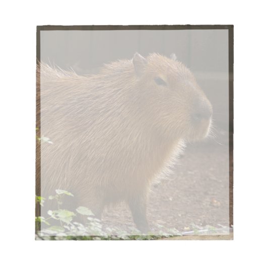 Capybara Notitieblok (Voorkant)