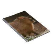 Capybara Notitieboek (Rechterzijde)