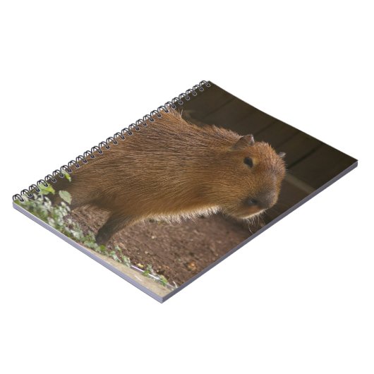 Capybara Notitieboek (Linkerzijde)