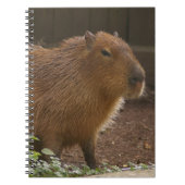 Capybara Notitieboek (Voorkant)