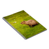 Capybara Notitieboek (Rechterzijde)
