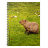 Capybara Notitieboek (Voorkant)