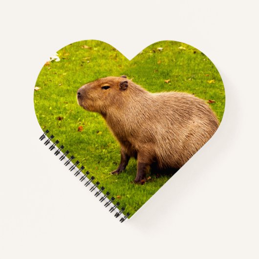 Capybara Notitieboek (Voorkant)