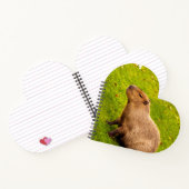 Capybara Notitieboek (Binnen)