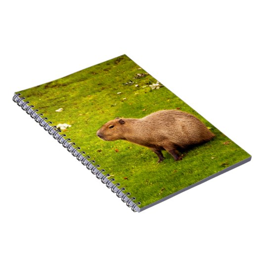 Capybara Notitieboek (Rechterzijde)