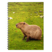Capybara Notitieboek (Voorkant)