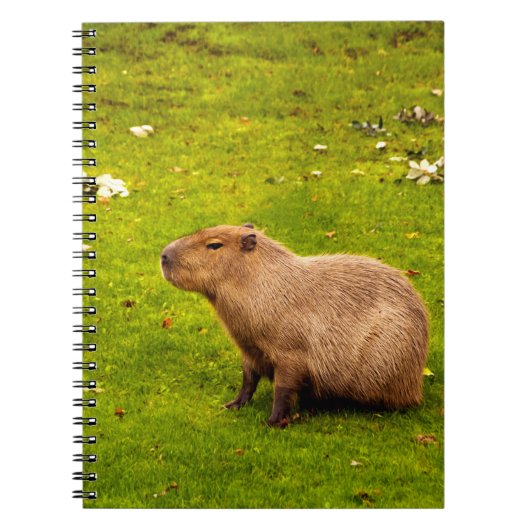 Capybara Notitieboek (Voorkant)