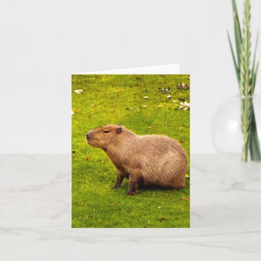 Capybara Notitiekaartje (Voorkant)