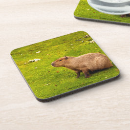 Capybara Onderzetter