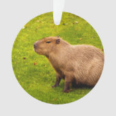 Capybara Ornament (voorkant)