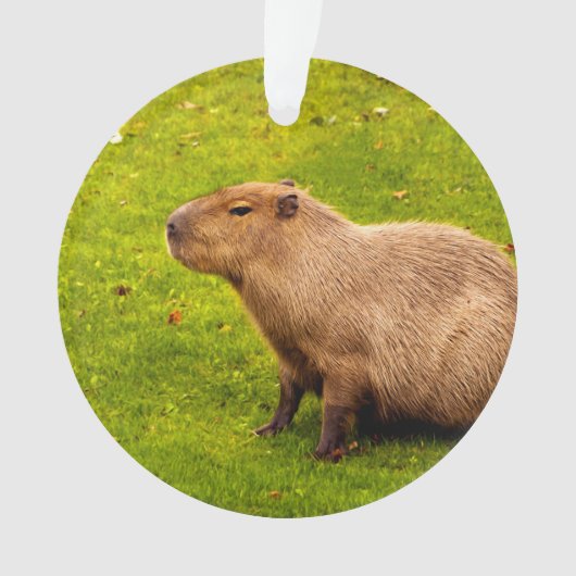 Capybara Ornament (voorkant)