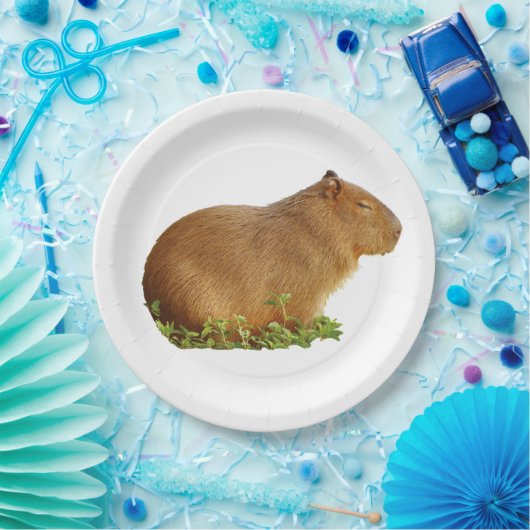 capybara paper plate papieren bordje (Feest)