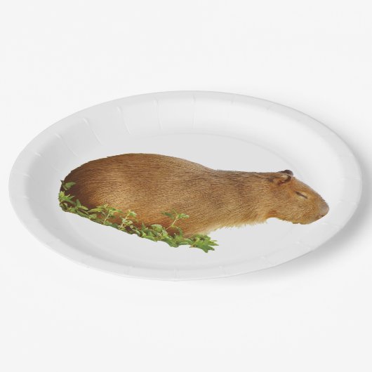 capybara paper plate papieren bordje (Gekanteld)
