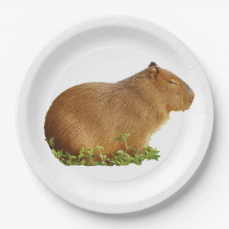 capybara paper plate papieren bordje