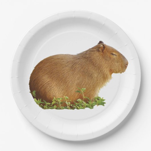 capybara paper plate papieren bordje (Voorkant)