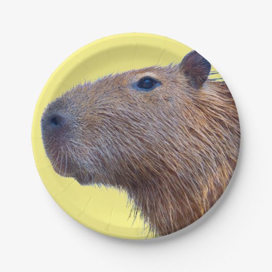 Capybara Papieren Bordje (Voorkant)