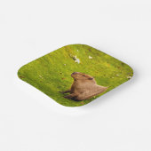 Capybara Papieren Bordje (Gebogen)