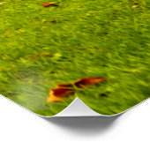 Capybara Perfect Poster (Hoek)