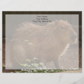 Capybara Persoonlijk Briefhoofd (Voorkant)