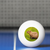 Capybara Pingpongbal (Net)