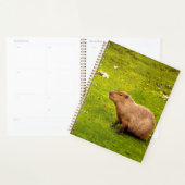 Capybara Planner (Display)
