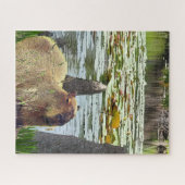 Capybara - Pneumatophores - Wilde dieren Legpuzzel (Horizontaal)