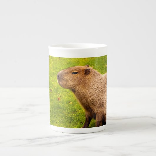 Capybara Porselein Kop (Voorkant)